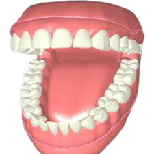 Orthodontic Icon